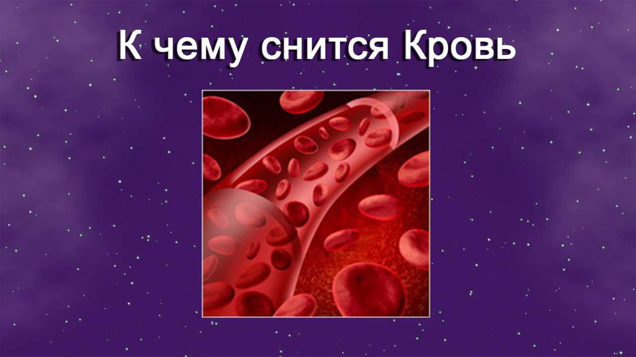 «асфальт к чему снится во сне? если видишь во сне асфальт, что значит?» | буква права 2023