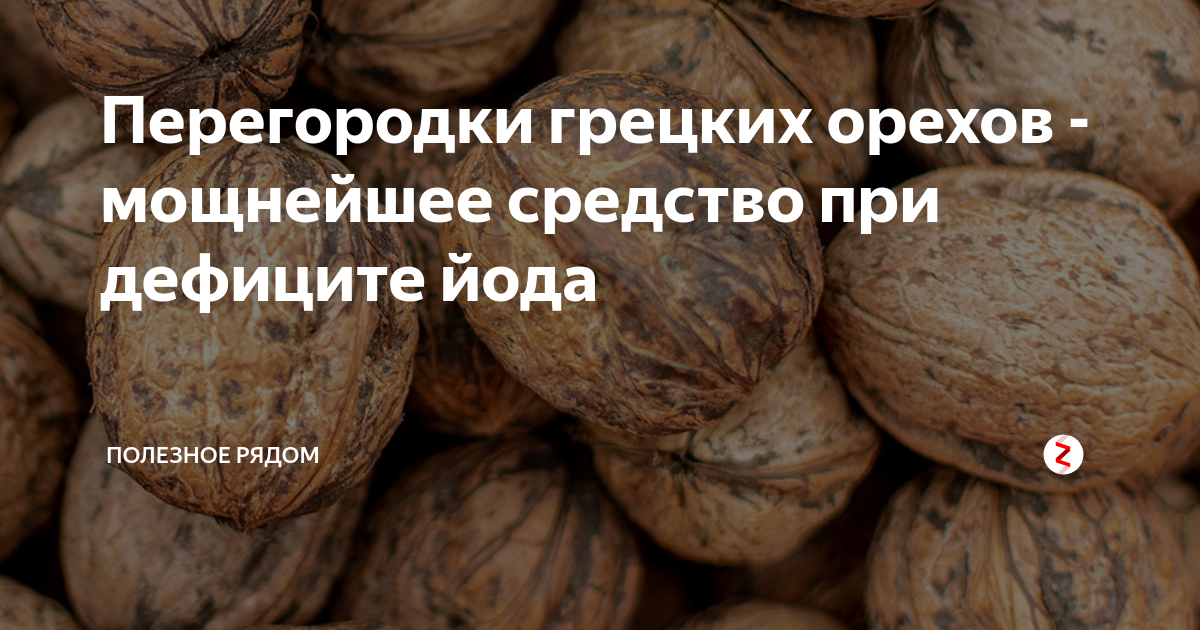 Сонник фундук: к чему снится и что означает сон?