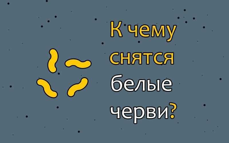 К чему снятся дождевые черви Толкование значения сна в различных сонниках для мужчин и женщин с учетом подробностей вы видели одного червяка или много дождевых червей, на земле или на асфальте, и другие детали
