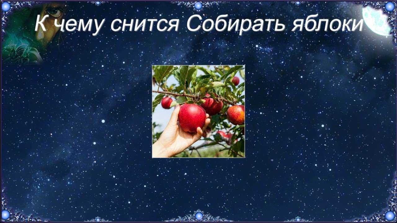К чему снятся красные яблоки много