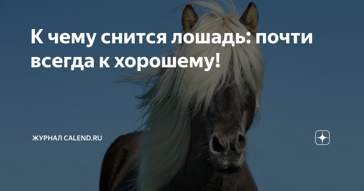 К чему снится лошадь во сне женщине: белая, коричневая, черная, замужней или незамужней