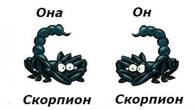 Совместимость скорпион мужчина и скорпион женщина в сексе и постельной сексуальности в процентах