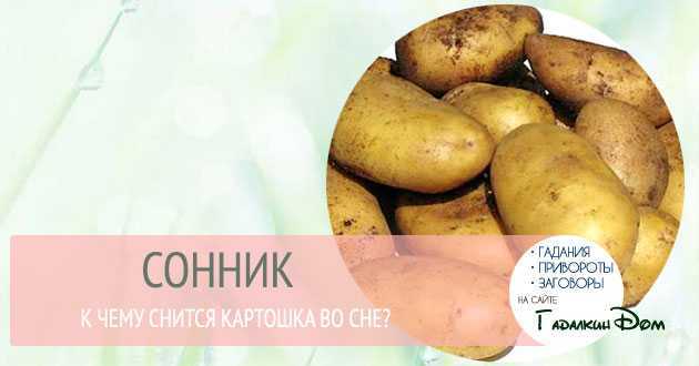 К чему снится копать картошку – сонник энигма