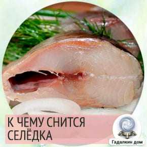 К чему снится селёдка: живая или солёная, разделывать селёдку? основные толкования - к чему снится селёдка - автор екатерина данилова - журнал женское мнение