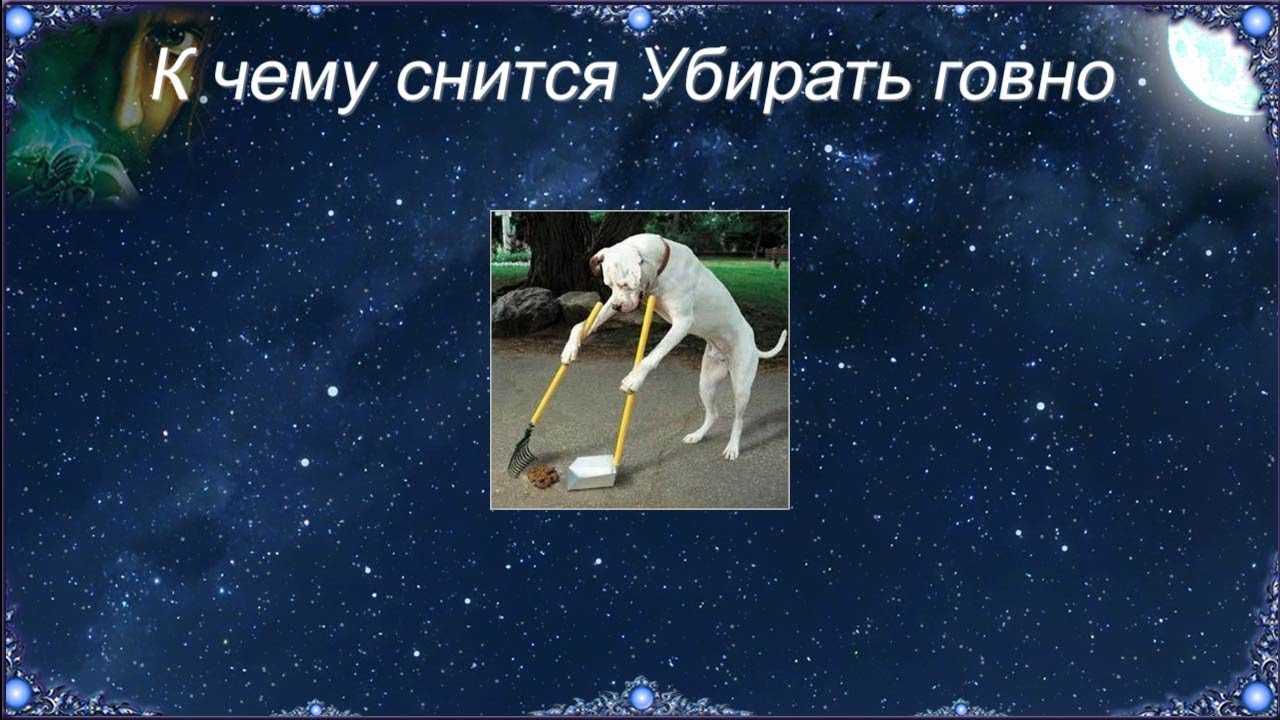К чему снится  уборка во сне — по 90 сонникам! если видишь во сне уборка что значит?