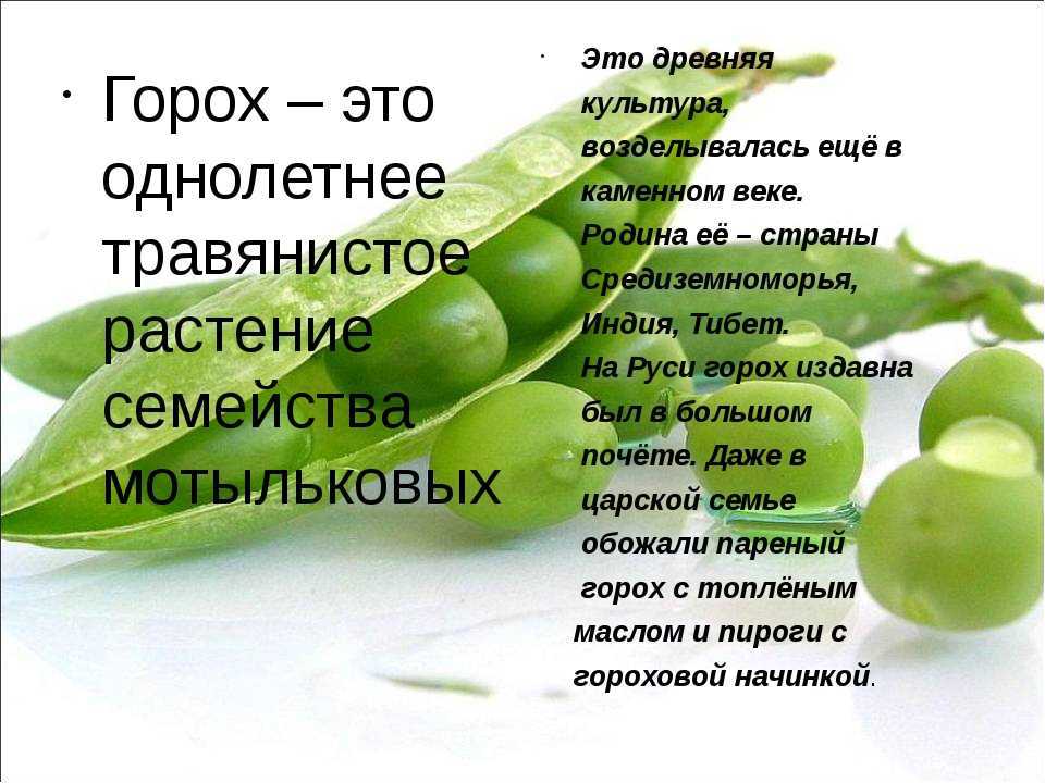Сонник гороховое поле. горох к чему снится: значение и толкование сновидения