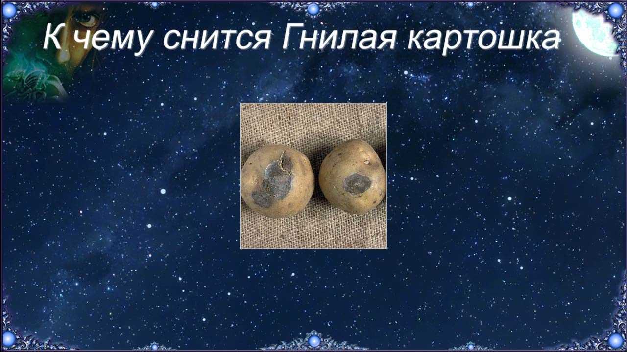 К чему снится копать картошку: толкование по сонникам