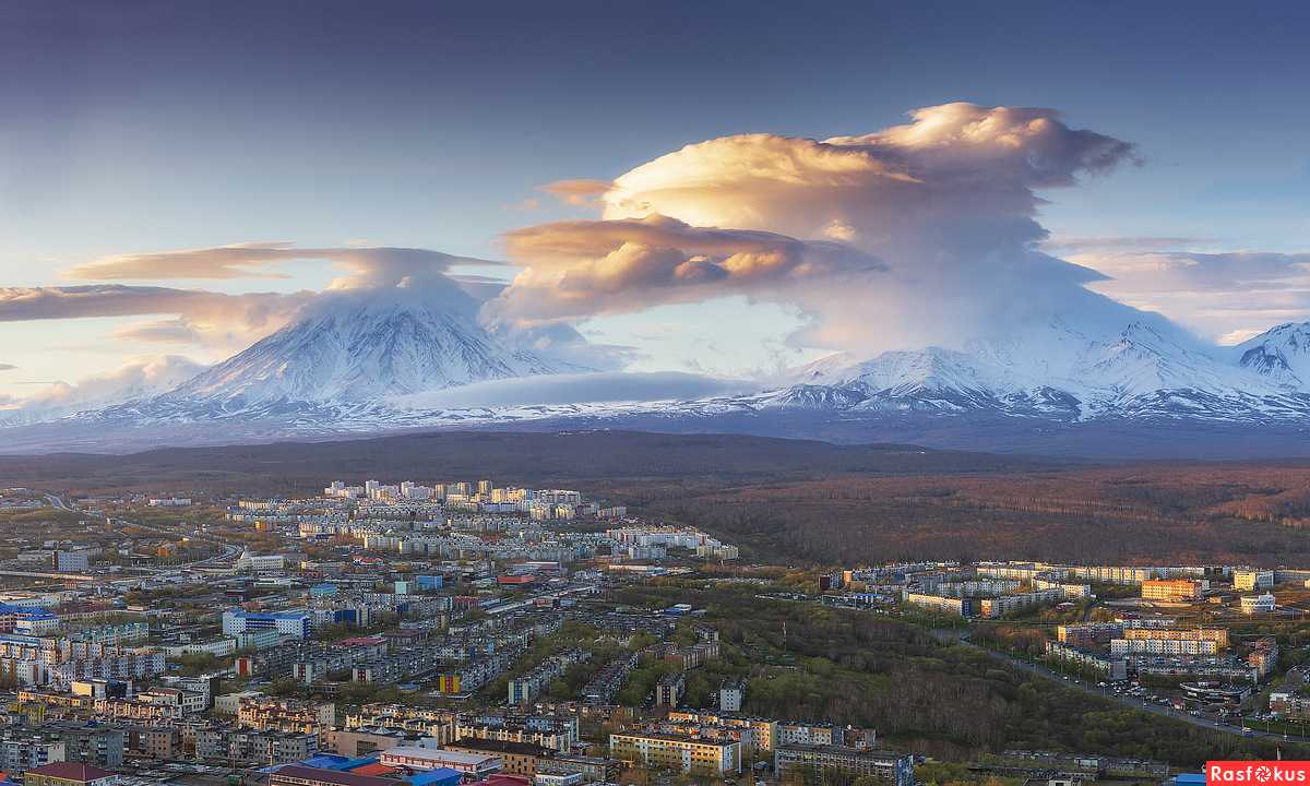 Лунный календарь посева семян на 2024 год для сибири и урала: таблица посадок по месяцам