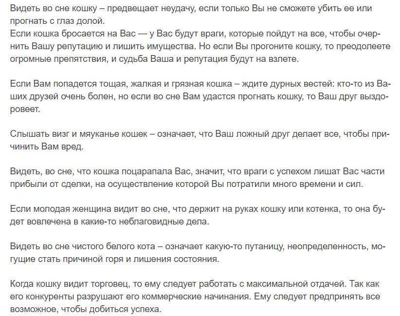 Сонник кошка, к чему снится кошка, во сне кошка