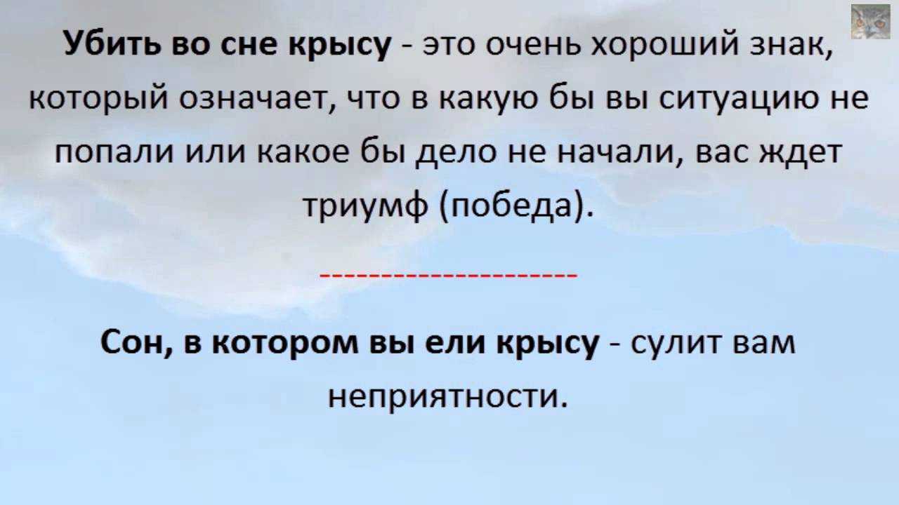 К чему снятся крысы: женщине, мужчине, снится много крыс, убитая, черная