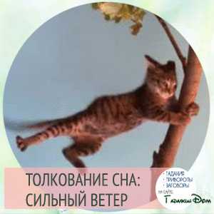К чему снится сильный ветер?