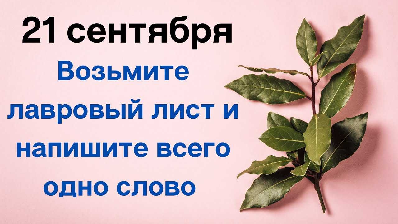 Заговор на лавровый лист для привлечения денег и удачи