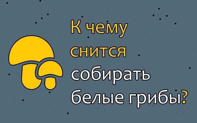 Что означают грузди в сновидении?