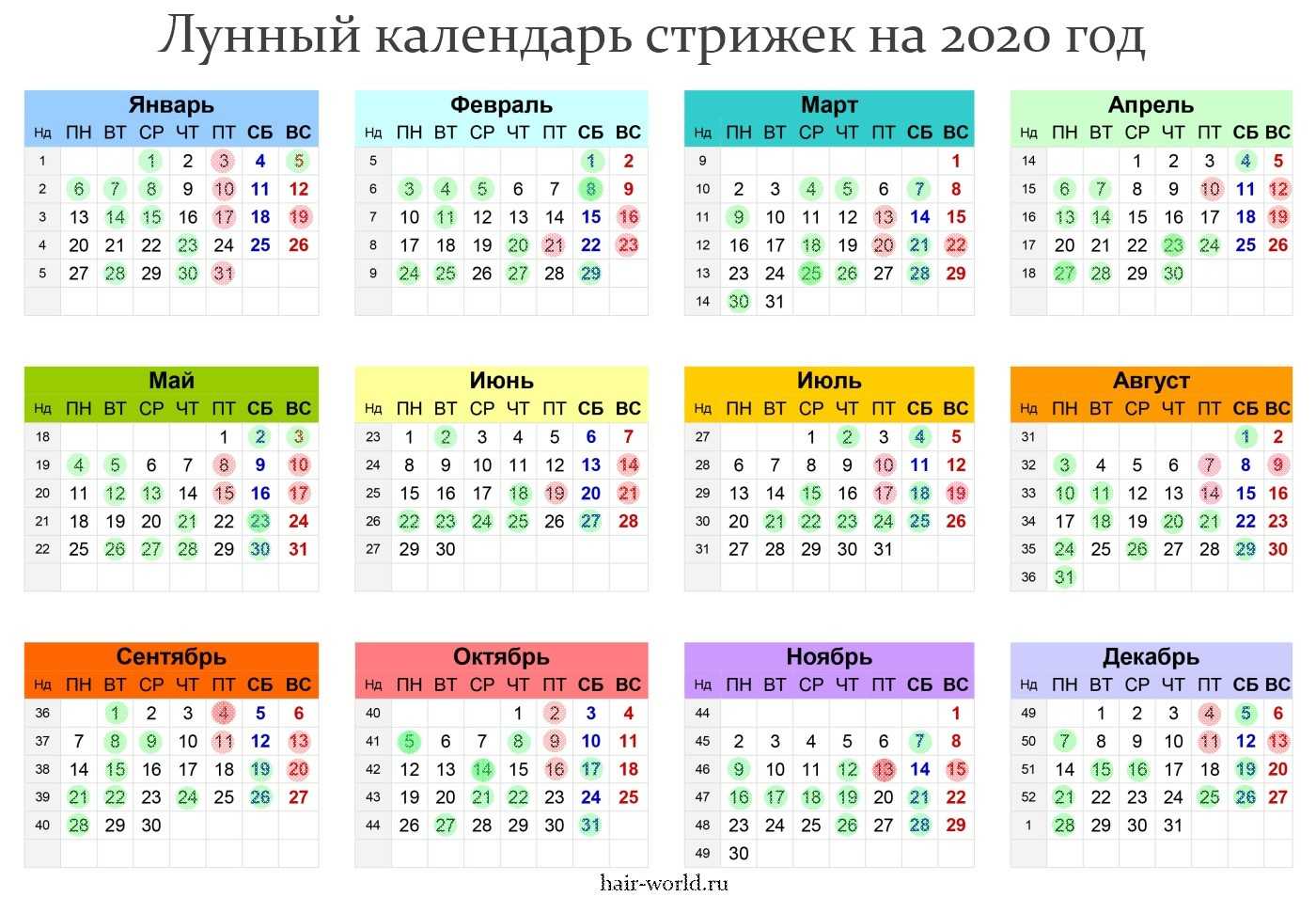 Лунный календарь 2023 стрижки ногтей по месяцам | moy-goroskop.ru