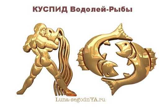 Гороскоп дня рождения - рождение в феврале