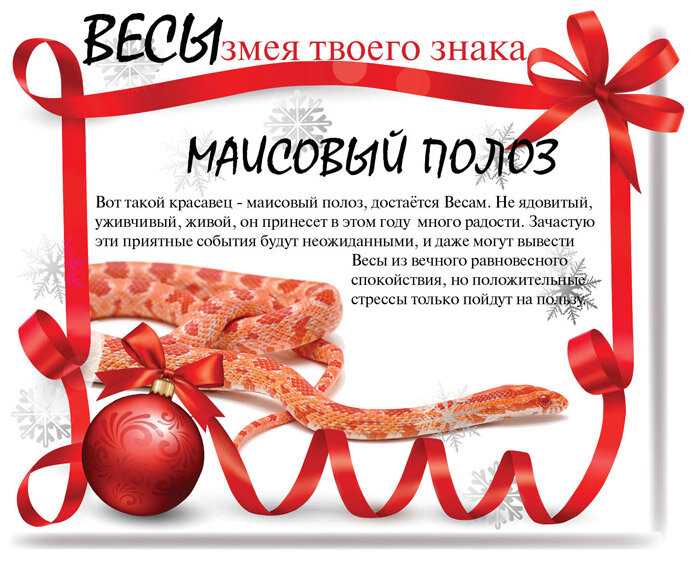 Год змеи