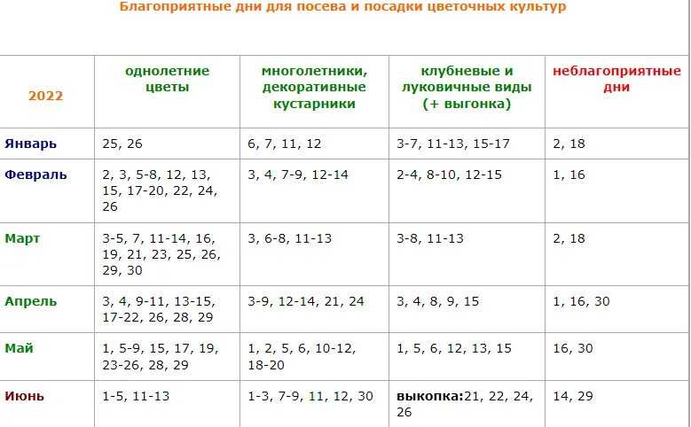 Лунный календарь на январь 2024 года: фазы, лунные дни, благоприятные дни