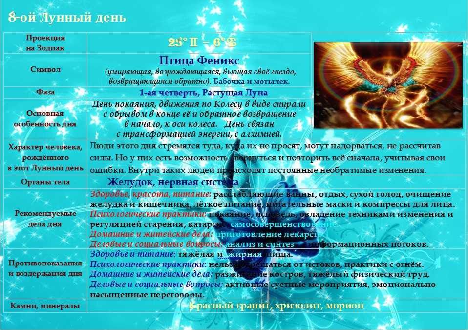 8-й лунный день