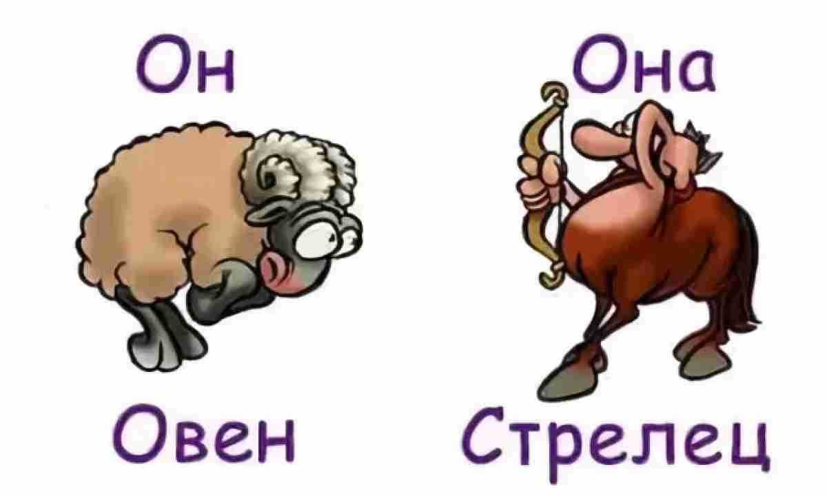 Овен и стрелец: совместимость в любви, браке, дружбе
