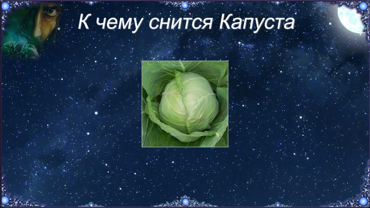 Резать мясо во сне 🍖 - топ 33 толкования ✨ по разным сонникам: к чему снится разделывать сырую, свежую или вареную свинину ножом и что значит видеть разделку без крови