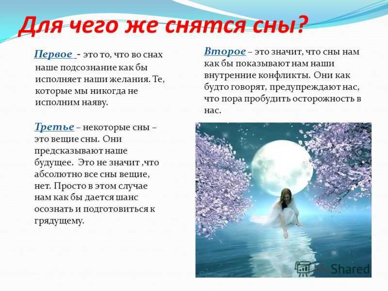 К чему снится дерево — 70 толкований