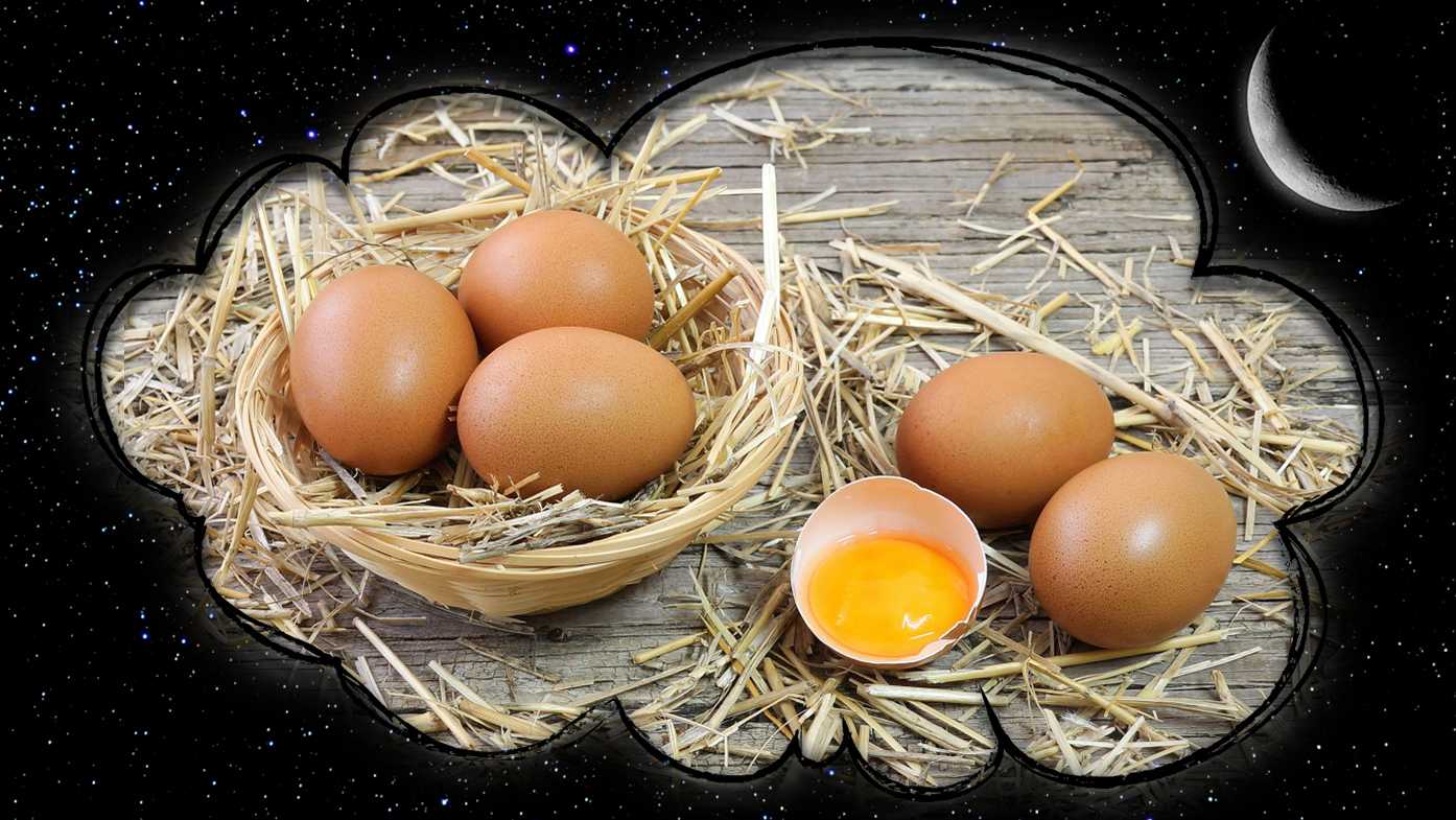 К чему снятся разбитые куриные яйца: девушке, женщине, беременной, мужчине – толкование по разным сонникам