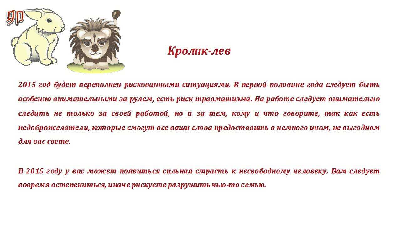 Год кролика 2023(год кролика для кролика)-точный прогноз для мужчины-кролика и женщины-кролика