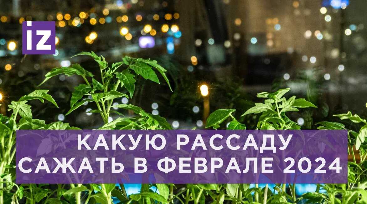 Лунный календарь: январь 2024