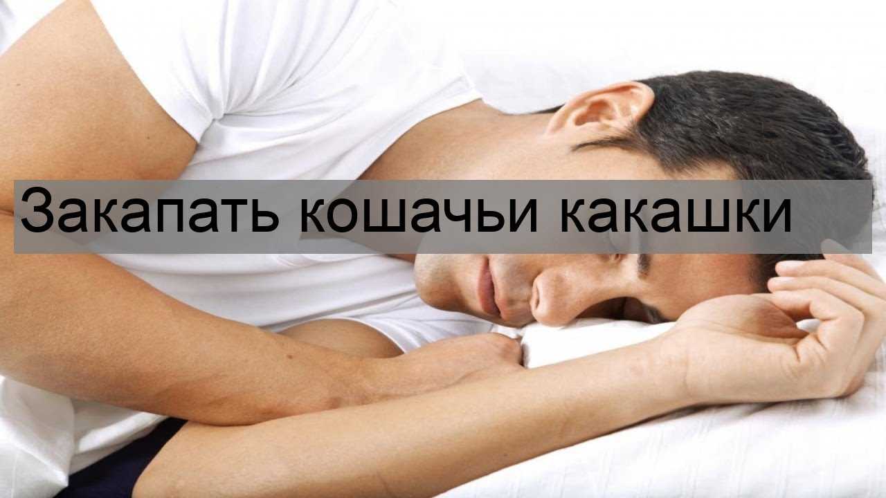 К чему снится чемодан