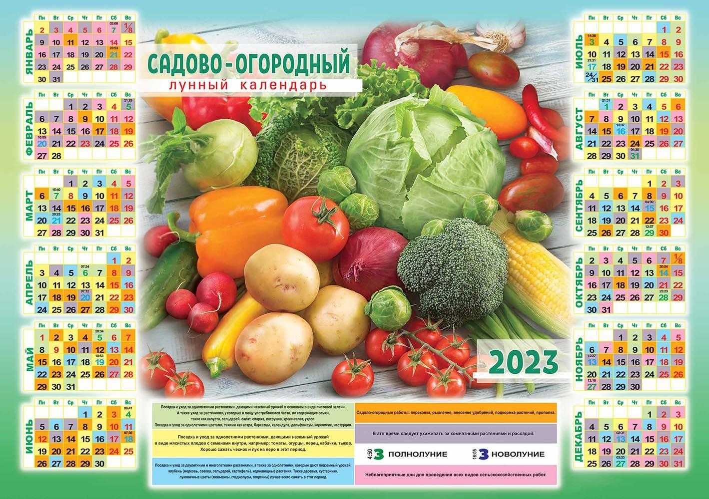 Фазы луны