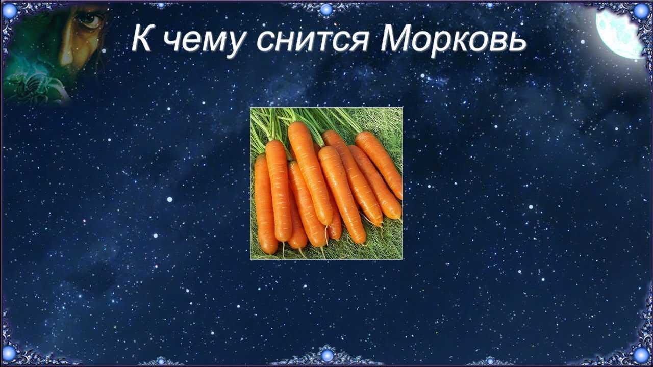 Морковь во сне: к чему снится свежая морковка женщине, трактование такого сна согласно соннику