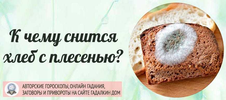 К чему снится хлеб: покупать, замешивать, выкидывать. основные толкования разных сонников — к чему снится хлеб