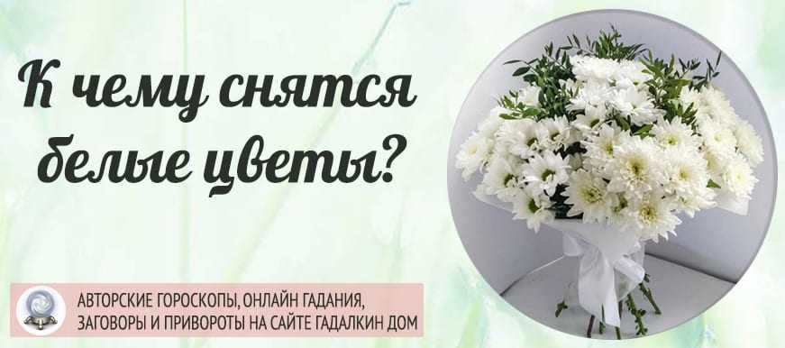 «сирень к чему снится во сне? если видишь во сне сирень, что значит?»