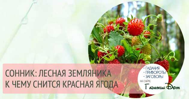 К чему снится  земляника во сне — по 90 сонникам! если видишь во сне земляника что значит?