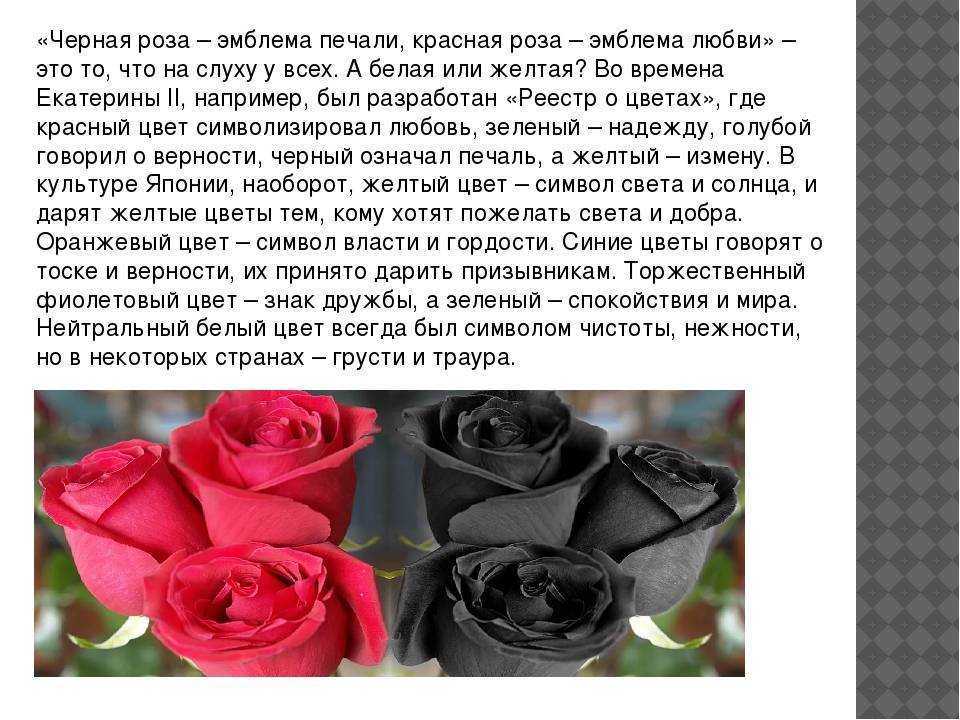 К чему снятся розы Толкование значения сна в различных сонниках для мужчин и женщин с учетом подробностей какого цвета вы видели розы, мало их было или много, выращивали вы розы, дарили или получали в подарок, и другие детали