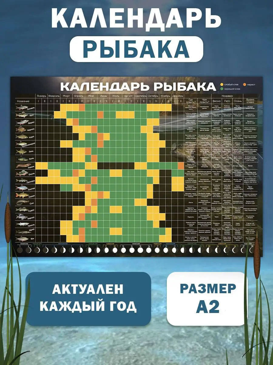 Лунный год, месяц, день