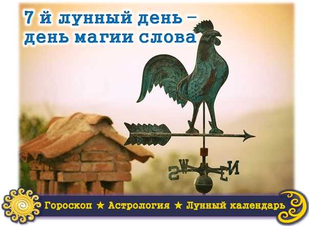7 лунный день, седьмые лунные сутки
