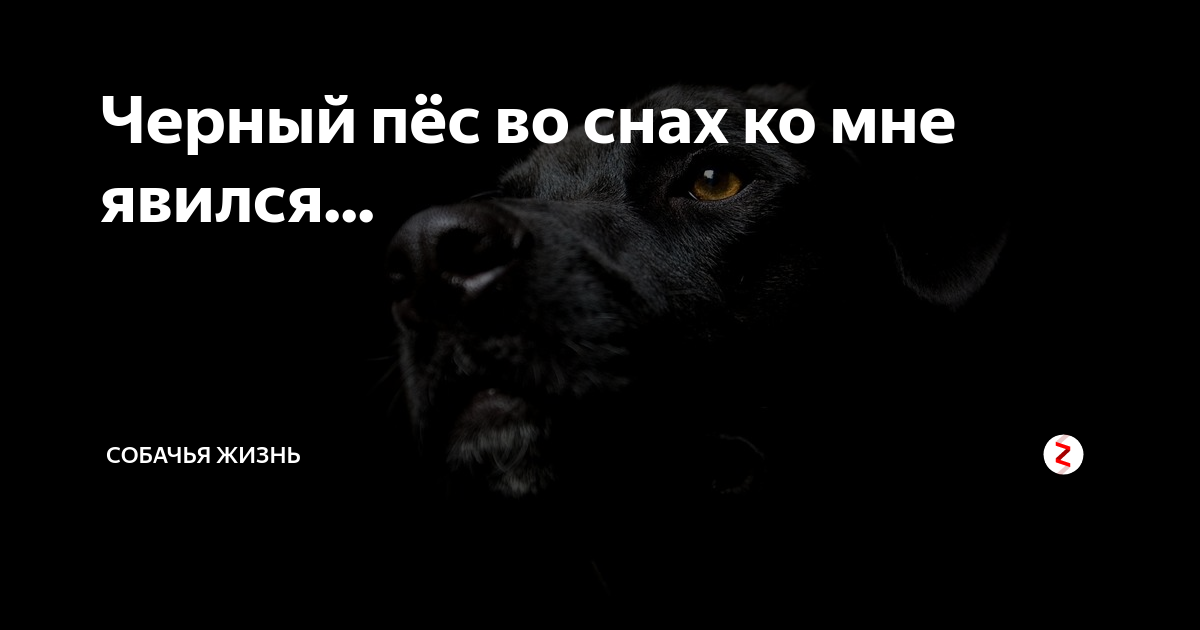 К чему снится автомобиль