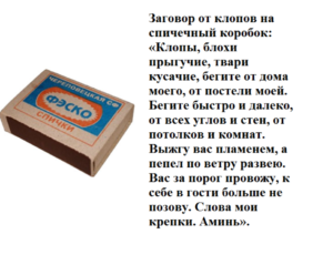 Заговор от тараканов в квратире, эффективен ли