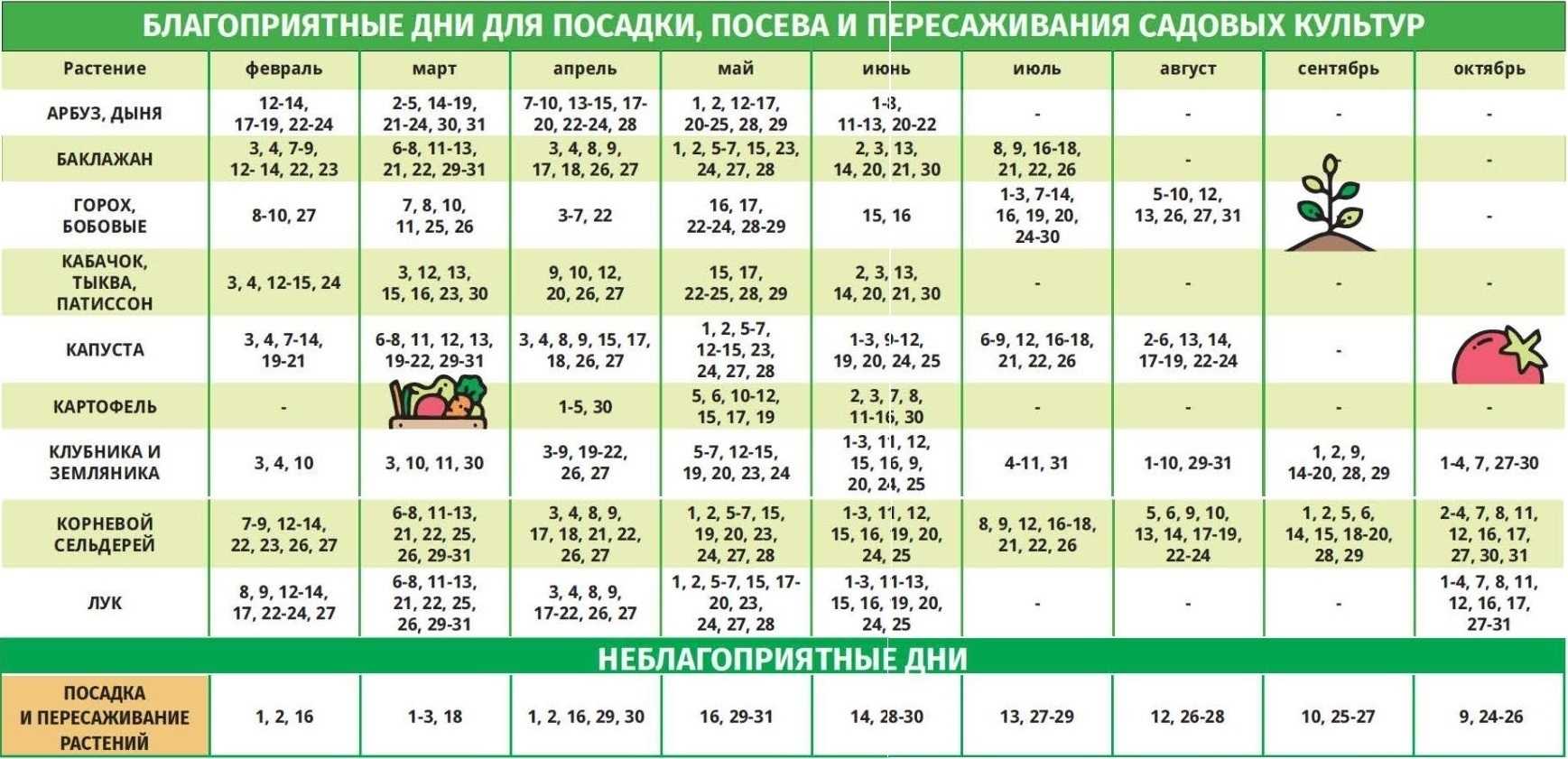 Лунный календарь на 2024 год
