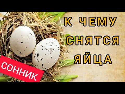 К чему снятся куры и петух – пернатые предсказатели судьбы