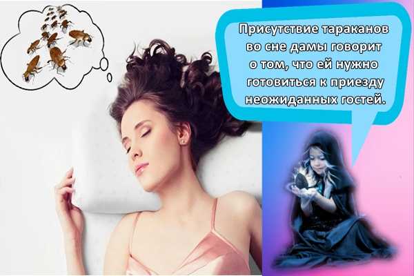 К чему снится много живых тараканов в доме и квартире