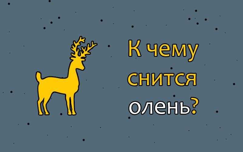 К чему снится олень: толкования сна и выбор сонника