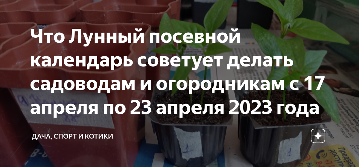 Лунный календарь на 2024 год по месяцам