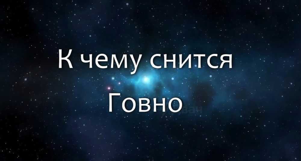 Енот