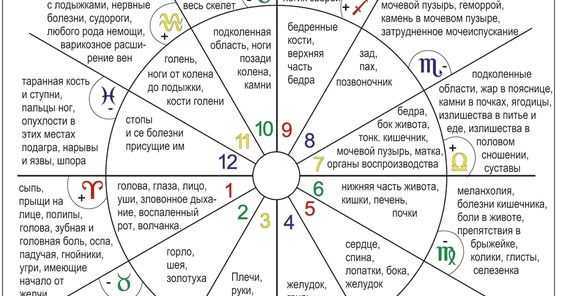 1 дом в ведической астрологии: правители, планеты и хозяин
