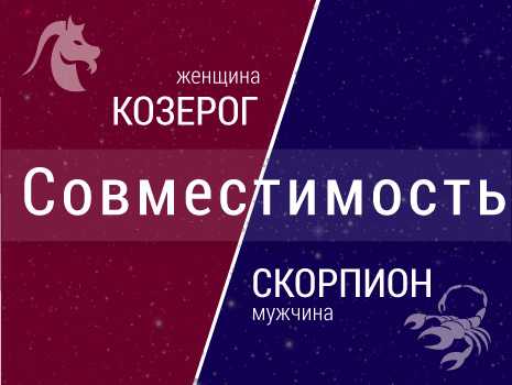 Козерог и скорпион: совместимость знаков зодиака в любовных отношениях, браке, дружбе
