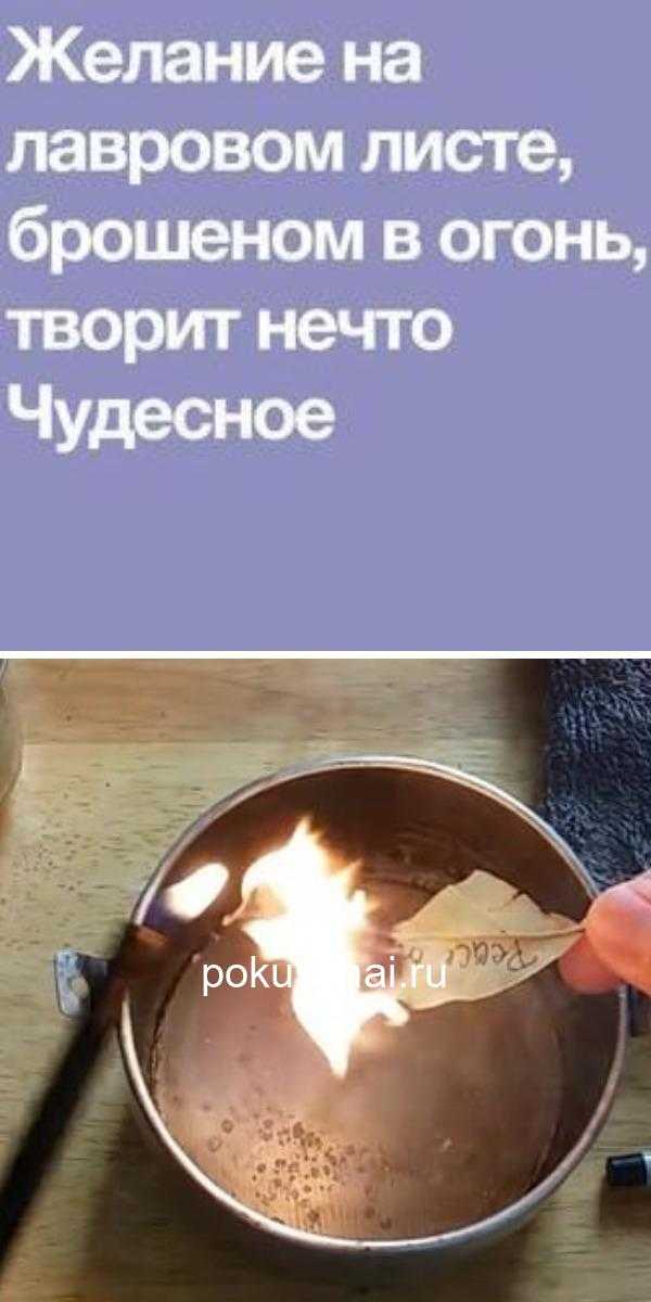 Заговор на лавровый лист: сильные обряды на деньги, исполнение желаний и любовь