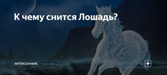 Сонник миллера - лошадь