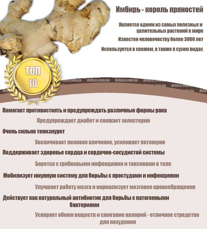 Имбирь во сне, к чему снится по соннику